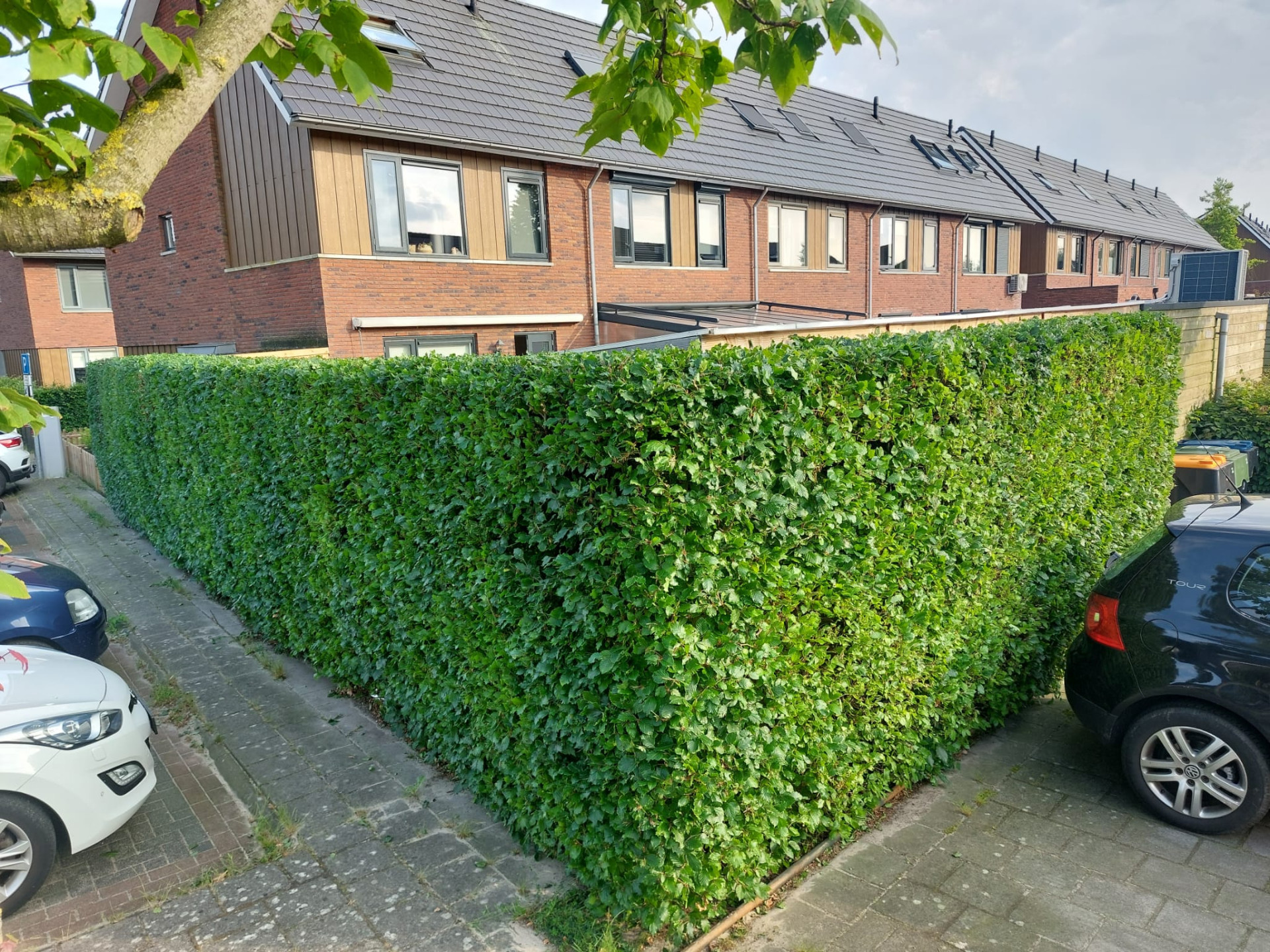 Hovenier in Kampen Lubert van de Kolk 1