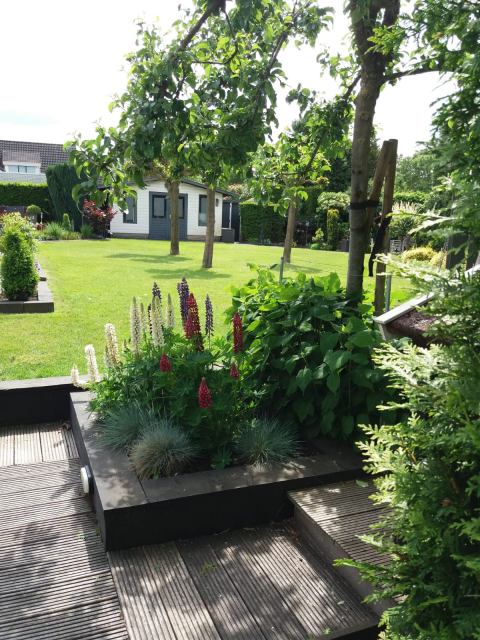 Hovenier in Kampen voor prachtge tuinterrassen